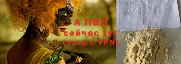 spice Аркадак