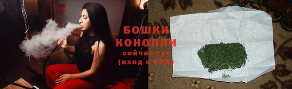 spice Аркадак