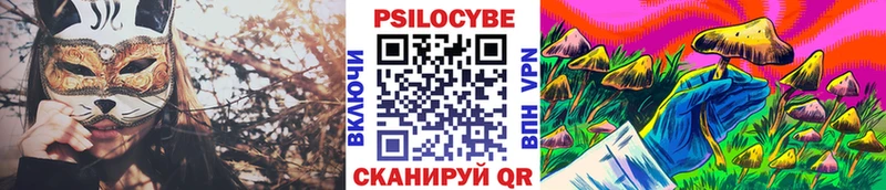 МЕГА маркетплейс  купить наркоту  Петухово  Галлюциногенные грибы Psilocybine cubensis 